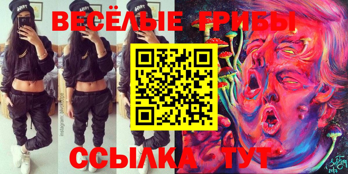 Галлюциногенные грибы Magic Shrooms  Вход с VPN  где можно купить наркотик  Железноводск 